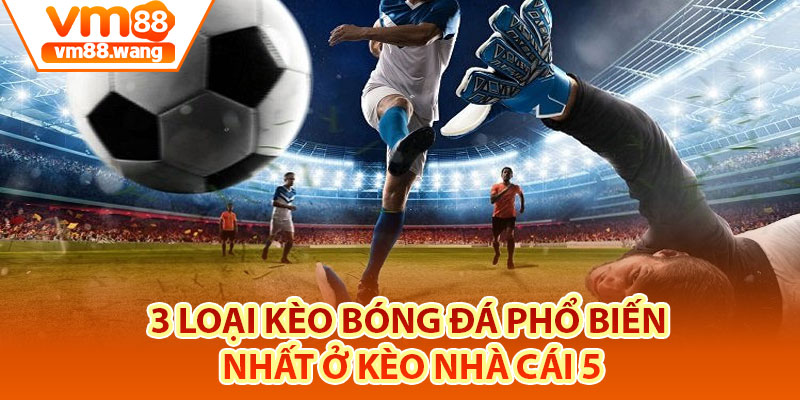 3 loại kèo bóng đá phổ biến nhất ở Kèo Nhà Cái 5